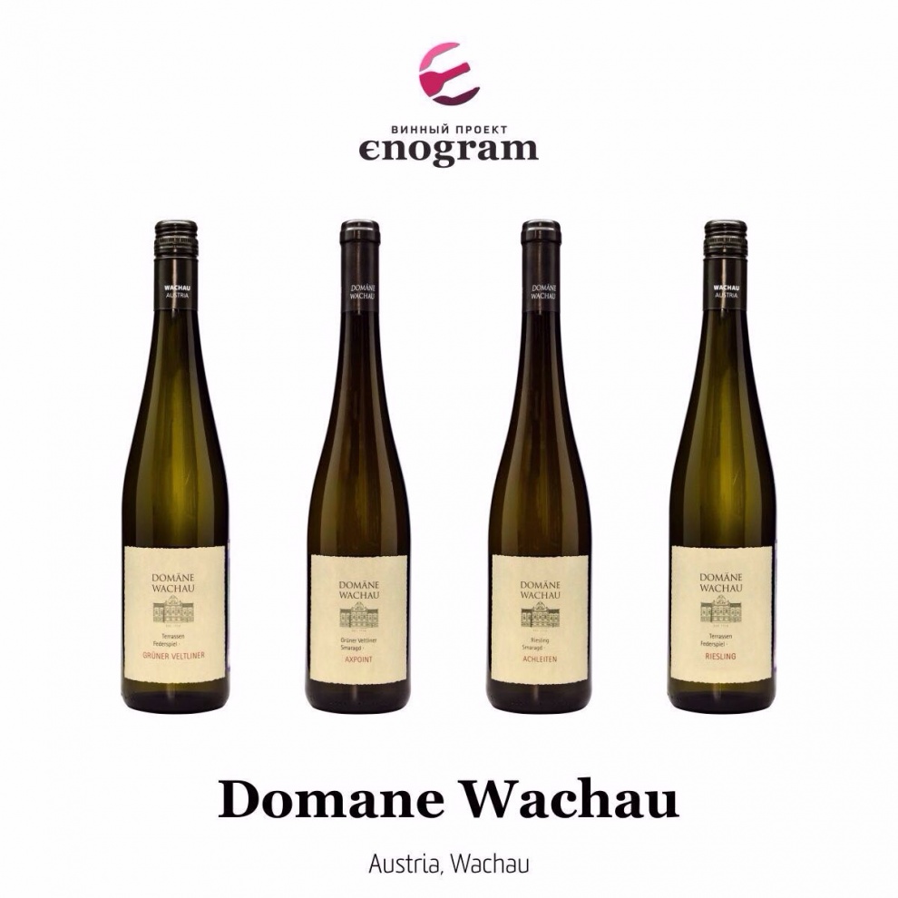 Domane Wachau - новый производитель в винном портфеле Enogram